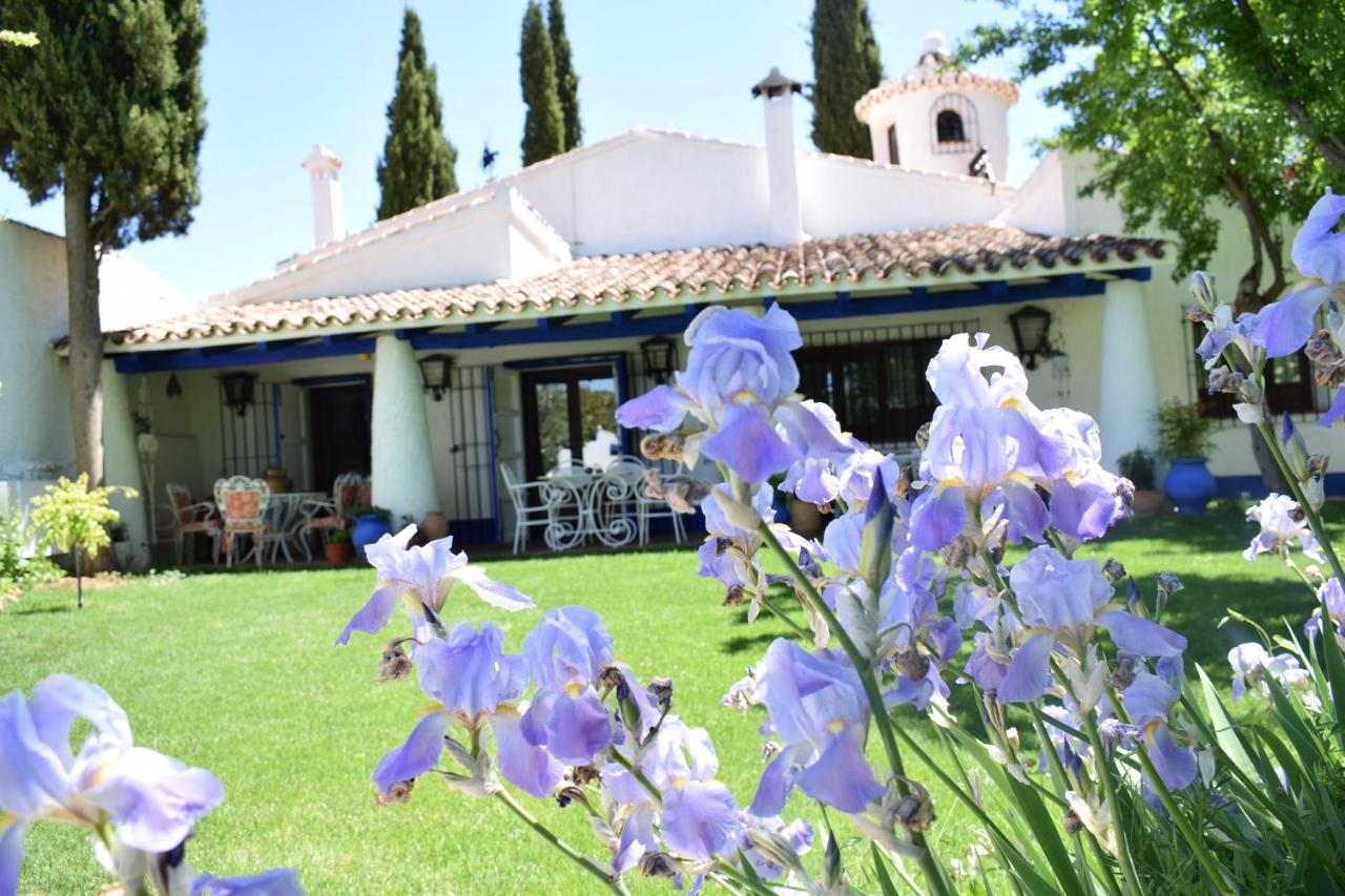 Maison d'hôtes Venta Del Celemin à Ossa de Montiel Extérieur photo